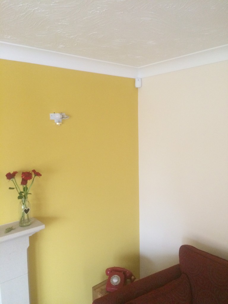 Image-6