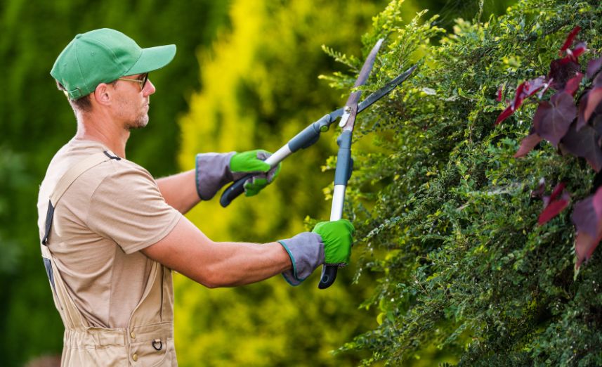 Gardeners