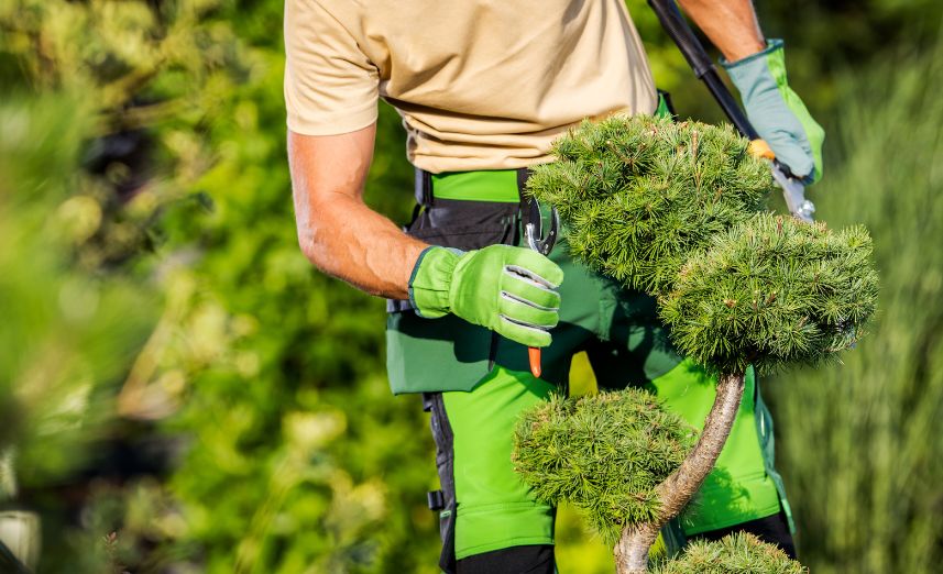 Landscapers