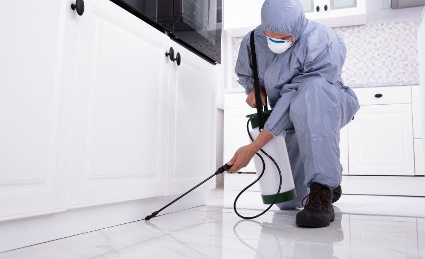 Pest Control