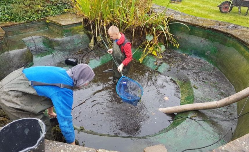 Pond Maintenance
