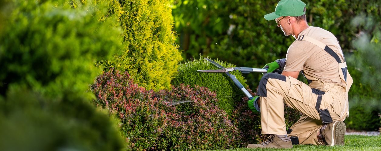 Garden Makeover Ideas | UK Garden Styling Tips That Work