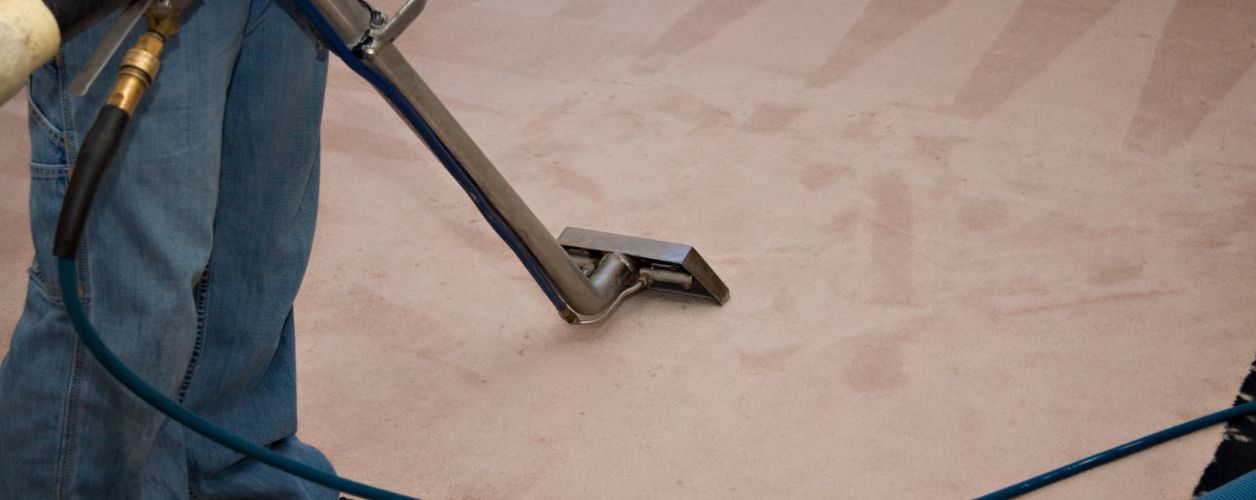 Professional Carpet Cleaners Cost