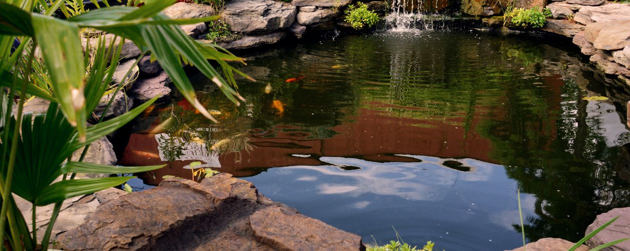Cost to Build a Pond