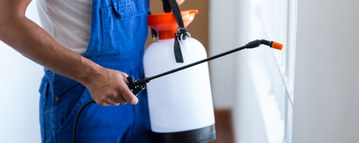 How Much Does Pest Control Costs?