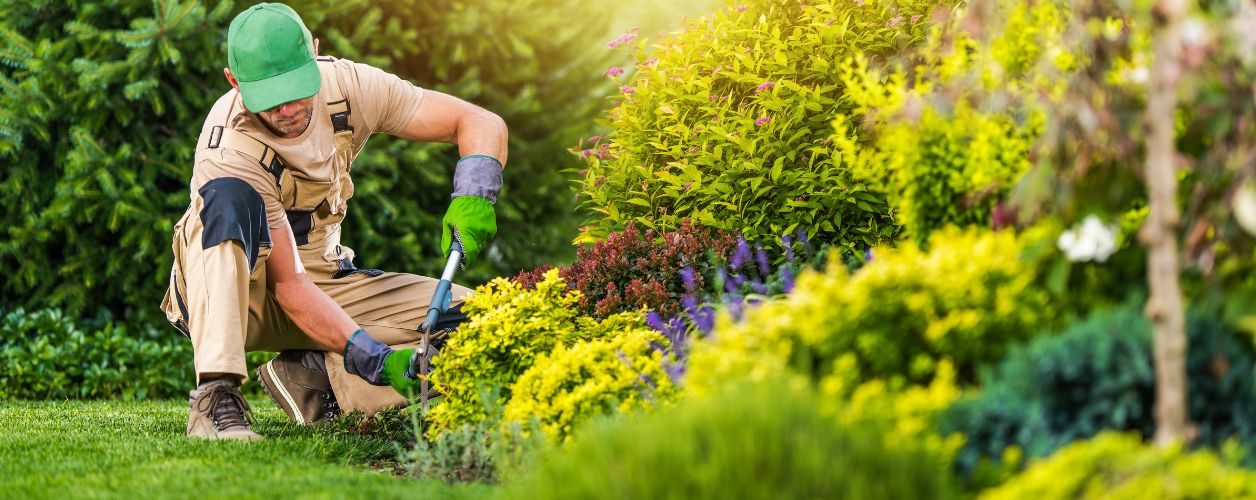 Garden Maintenance