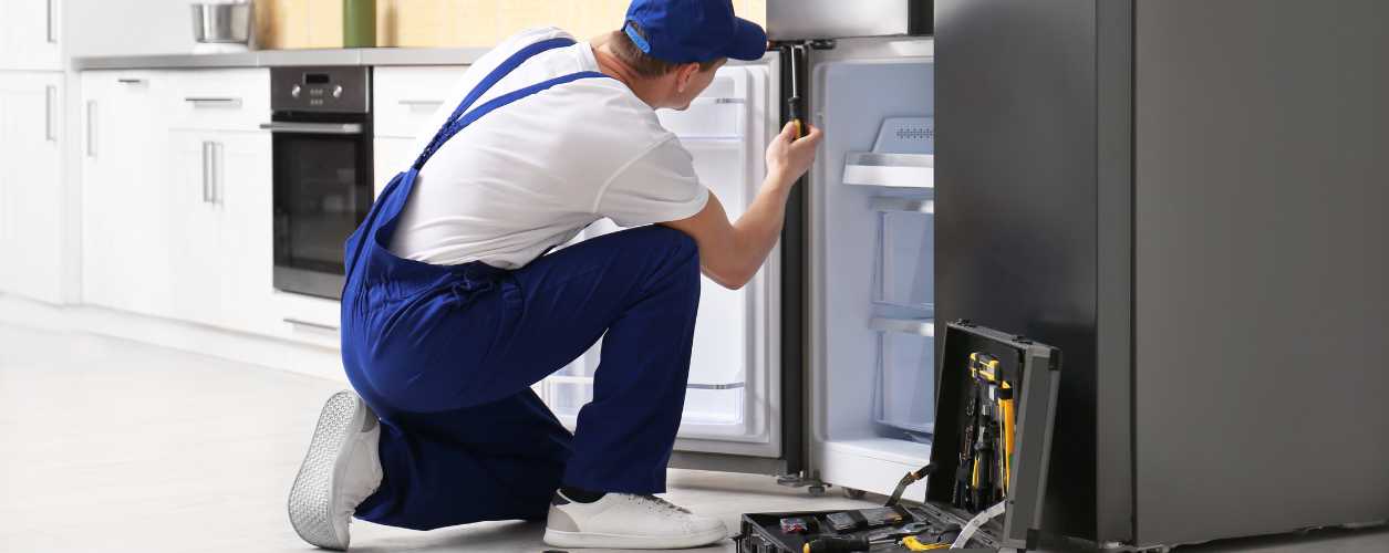 Kitchen Appliance Repair