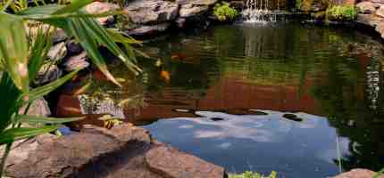 Cost to Build a Pond