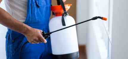 How Much Does Pest Control Costs?