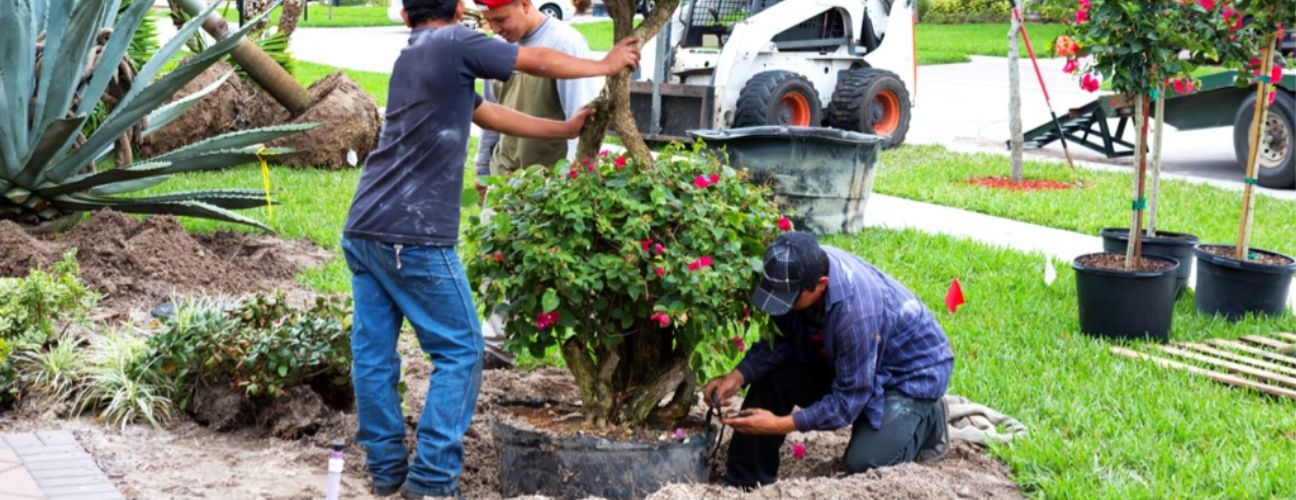 Landscapers